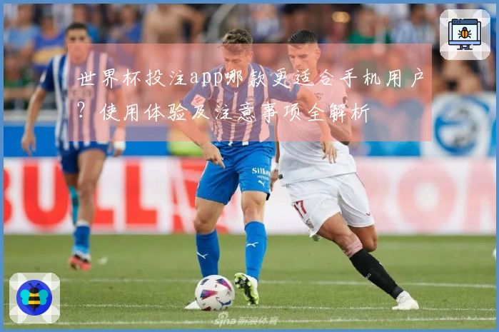 世界杯投注app哪款更适合手机用户？使用体验及注意事项全解析