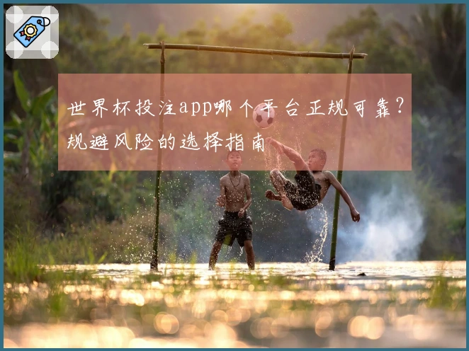 世界杯投注app哪个平台正规可靠？规避风险的选择指南