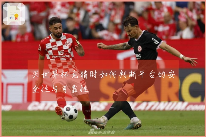 买世界杯竞猜时如何判断平台的安全性与可靠性