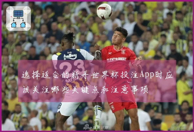 选择适合的新手世界杯投注App时应该关注哪些关键点和注意事项