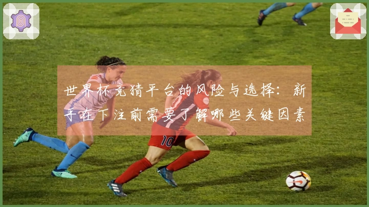 世界杯竞猜平台的风险与选择：新手在下注前需要了解哪些关键因素