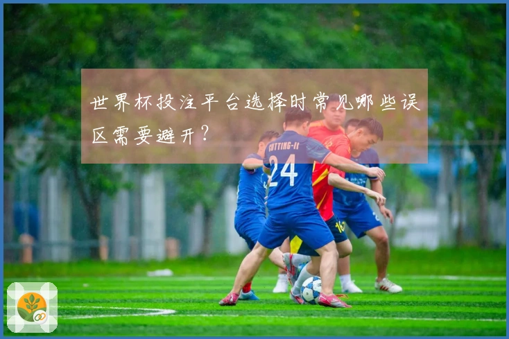 世界杯投注平台选择时常见哪些误区需要避开？