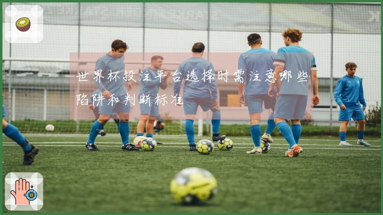 世界杯投注平台选择时需注意哪些陷阱和判断标准