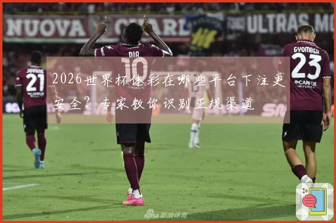 2026世界杯体彩在哪些平台下注更安全?专家教你识别正规渠道