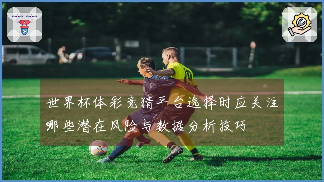 世界杯体彩竞猜平台选择时应关注哪些潜在风险与数据分析技巧