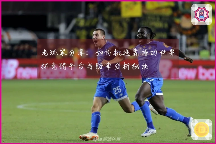 老玩家分享：如何挑选靠谱的世界杯竞猜平台与赔率分析秘诀