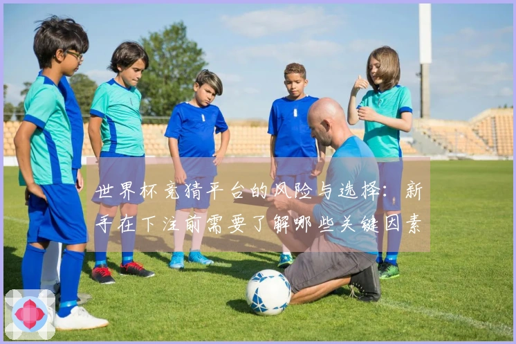 世界杯竞猜平台的风险与选择：新手在下注前需要了解哪些关键因素