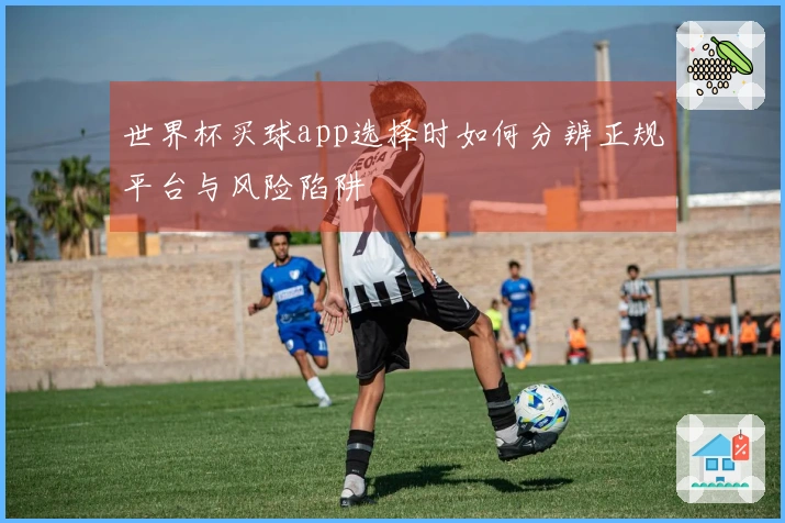 世界杯买球app选择时如何分辨正规平台与风险陷阱
