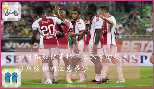 如何甄别世界杯下注入口的安全性与风险控制注意事项