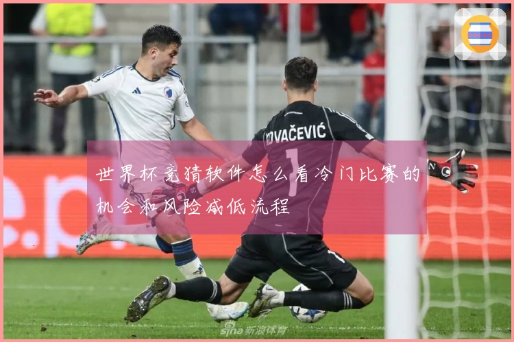世界杯竞猜软件怎么看冷门比赛的机会和风险减低流程