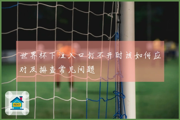 世界杯下注入口打不开时该如何应对及排查常见问题
