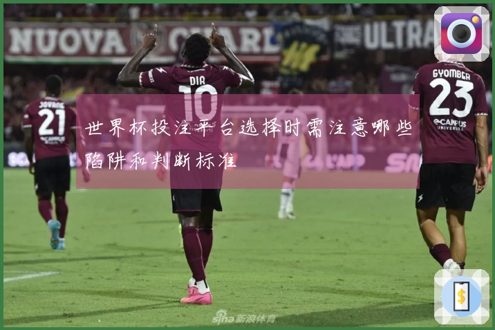 世界杯投注平台选择时需注意哪些陷阱和判断标准