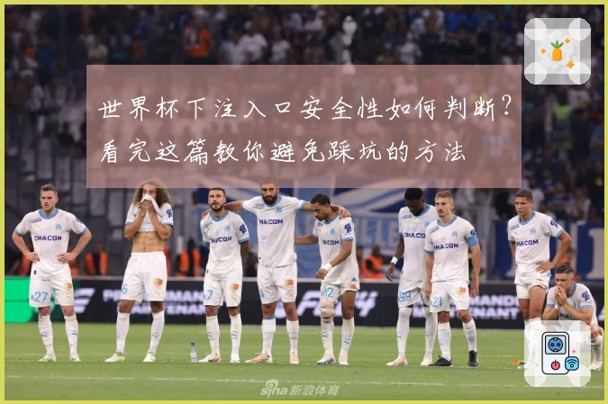 世界杯下注入口安全性如何判断？看完这篇教你避免踩坑的方法