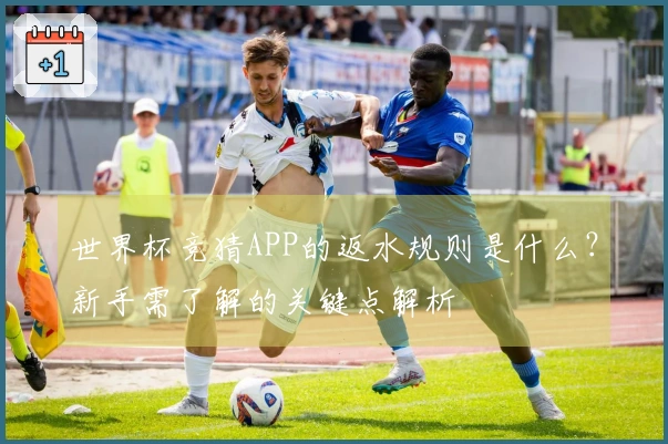 世界杯竞猜APP的返水规则是什么？新手需了解的关键点解析