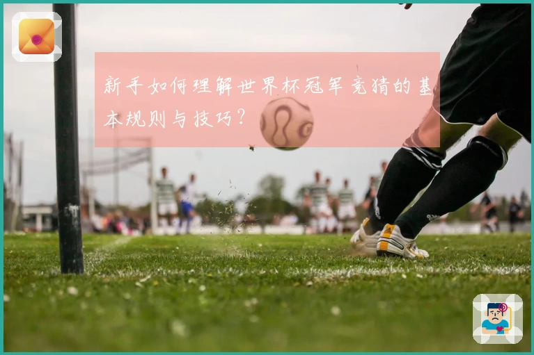 新手如何理解世界杯冠军竞猜的基本规则与技巧？