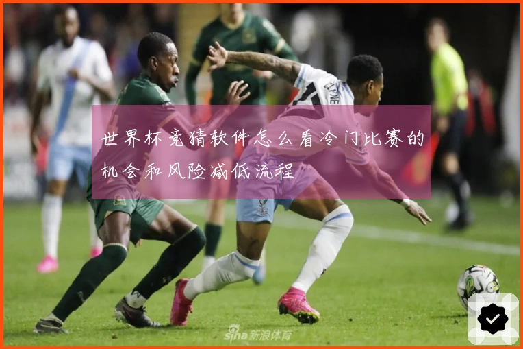 世界杯竞猜软件怎么看冷门比赛的机会和风险减低流程